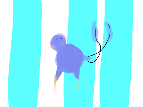 bird dance (animation test)