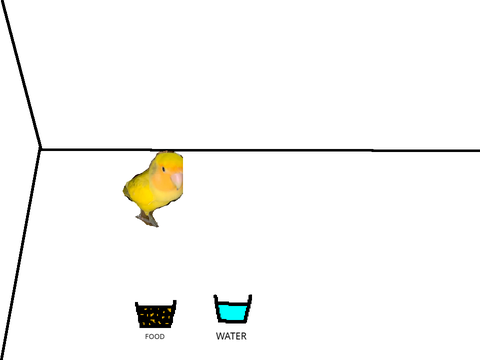 Pet Shop
