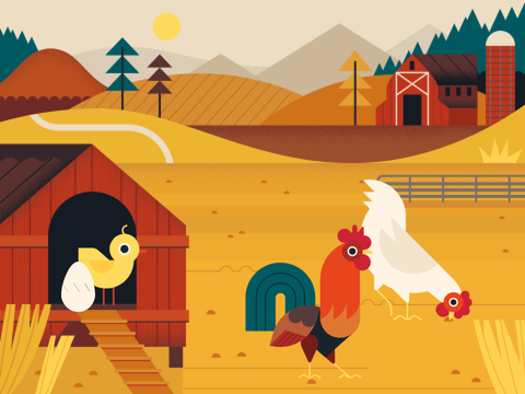 On the farm