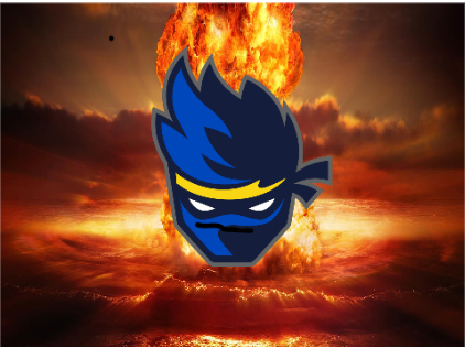 Ninja