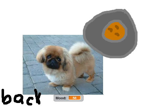 Pekingese Care Game