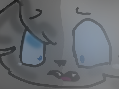  Thumbnail Entry
