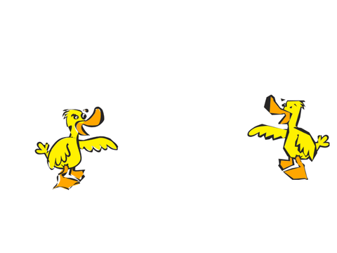 Mr.duck And mrs. duck