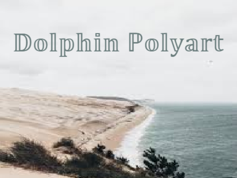 + Dolphin Polyart +
