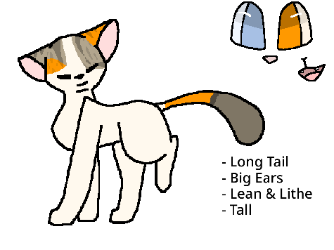 Cat OC Designs Based on Real Cats #1
