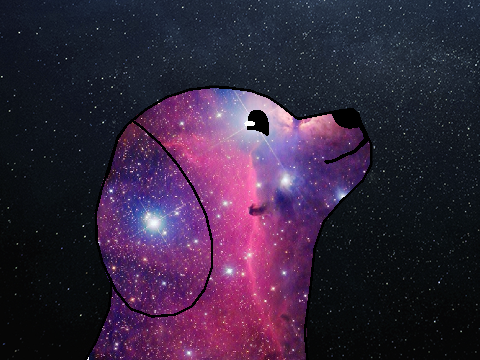 PuppyScoundrel's PFP