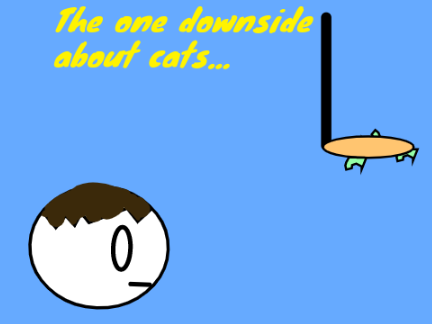 The one downside about cats ll #Animations