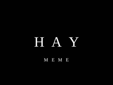 Hay //MEME remix