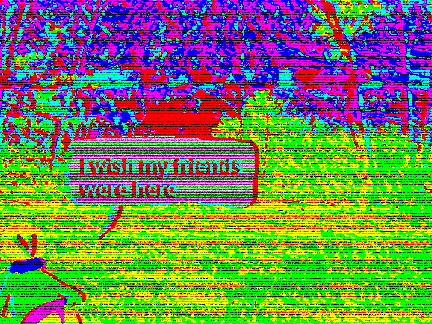 emotional trip EPILEPSY WARNING