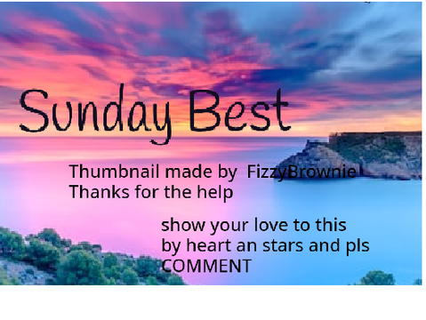 SUNDAY BEST  