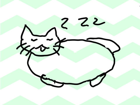 猫３