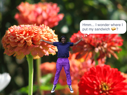 Calvrett is hungry but he lost his sandwich  