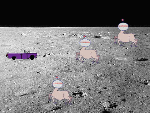 Spacellamas
