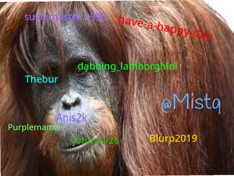 Sign to help the orangutans remix remix remix