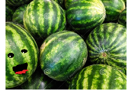 Add yourself as a watermelon !!!