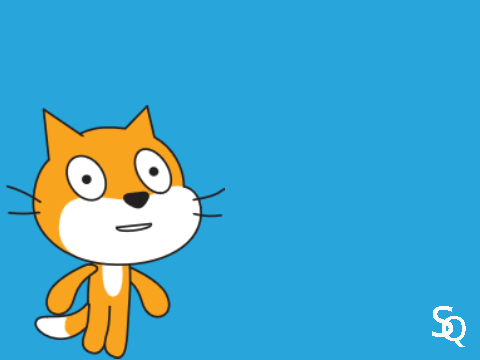 Modèle Scratch Quotidien