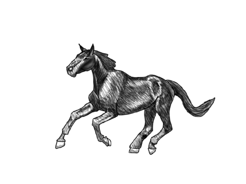How I draw horses ~ Tutorial ~