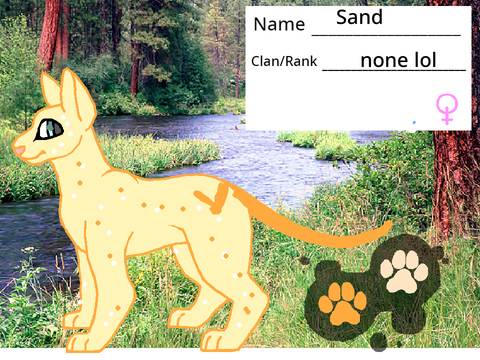 sand - ref sheet