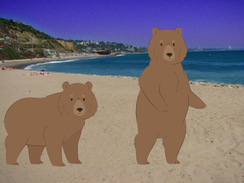 Little Bear
