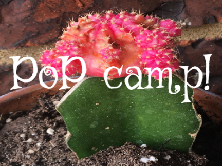 PoP camp!!!