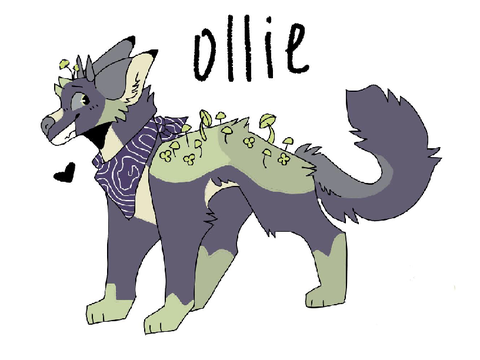 Ollie . ref 