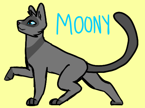 Happy (Belated) Birthday, Moony!