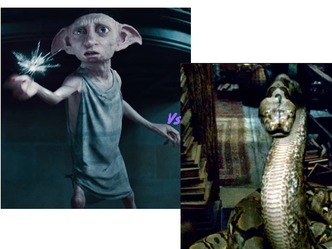 Dobby vs Nagimi