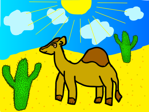 i like camels