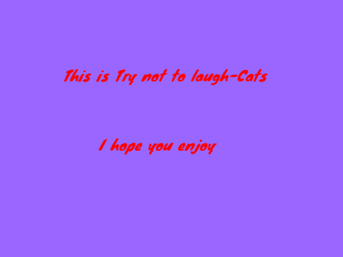 Try not to laugh-Cats