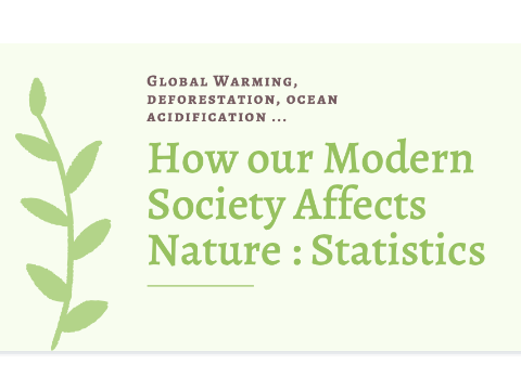 How our Modern Society Affects Nature : Statistics