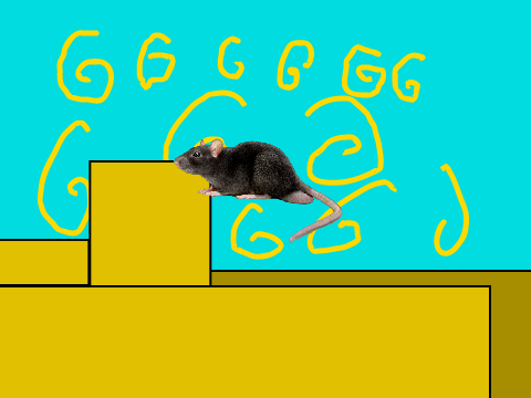Симулятор крысы 2D