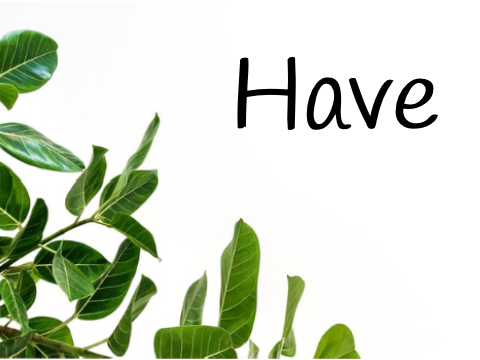 Have