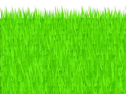 Grass
