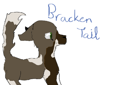 BrackenTail