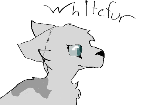 Whitefur