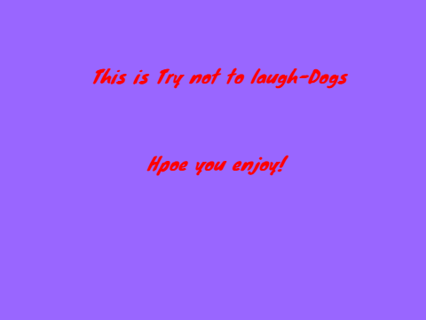 Try not to laugh-Dogs