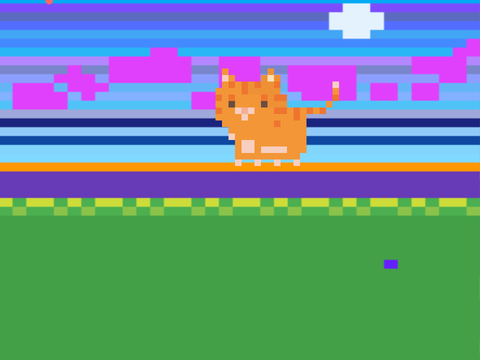 Kitty Fun!