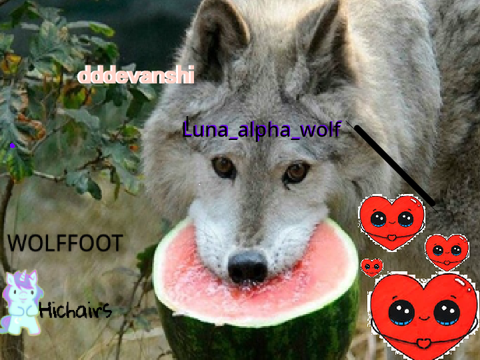 sign here if you want to save our wolves remix remix remix remix