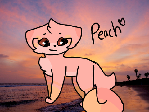 ~Peach~ DTAE