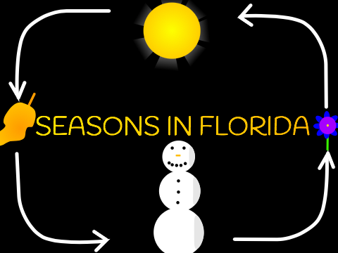 Seasons In Florida AA2 Entry
