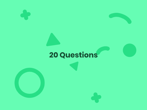20 Questions v1.0
