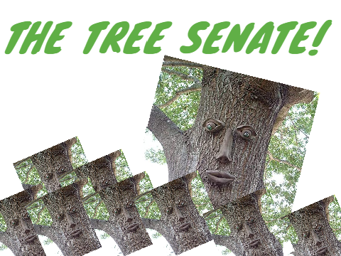 The Tree Senate!