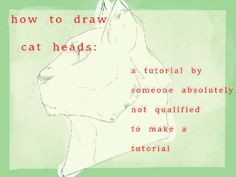 how to draw cat heads in my style -- the tutorial no one asked for