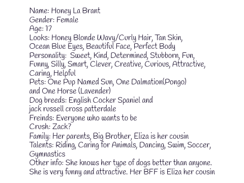 For Dog Breed Centre RP
