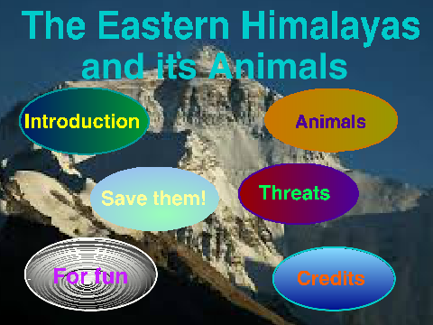 Eastern Himalayas copy