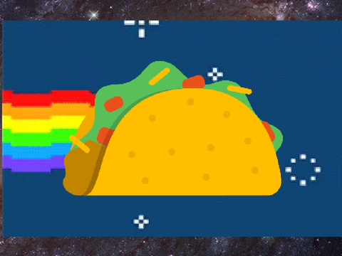 A day in the life of TACO
