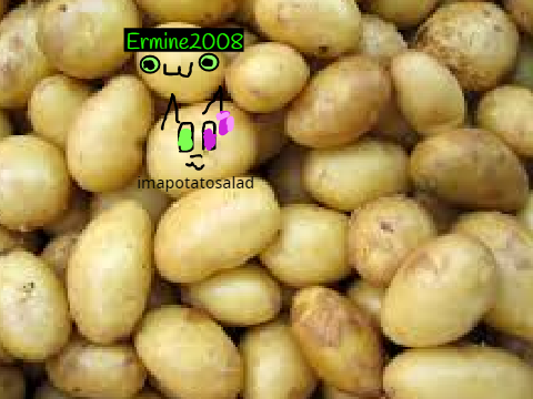 remix and add yourself as a potato remix