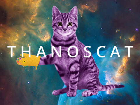 T H A N O S C A T