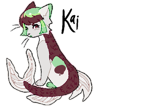 DT / Kai