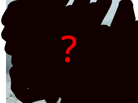 Cat Reveal!!!